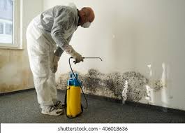 Reliable Aurora, CO Mold Removal Solutions